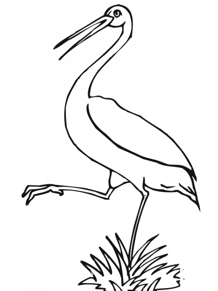 Stork coloring page image