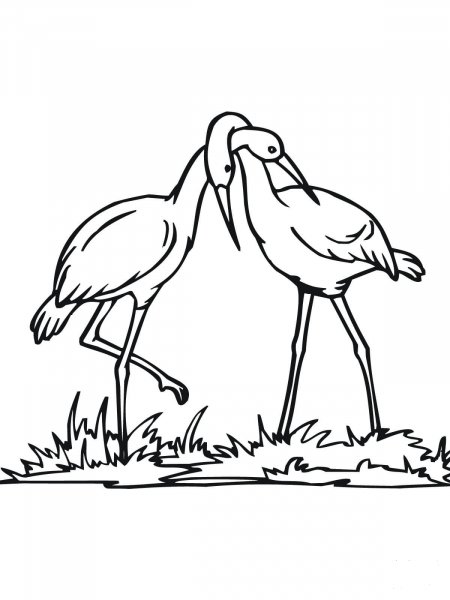 Stork Couple coloring page image