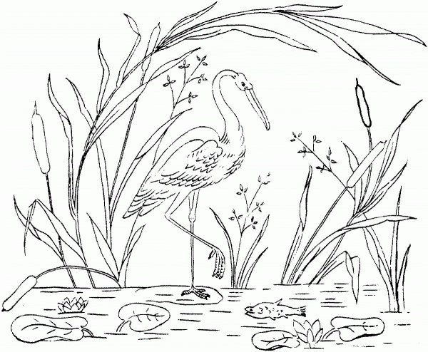 Stork Fishing in a Backwater coloring page image