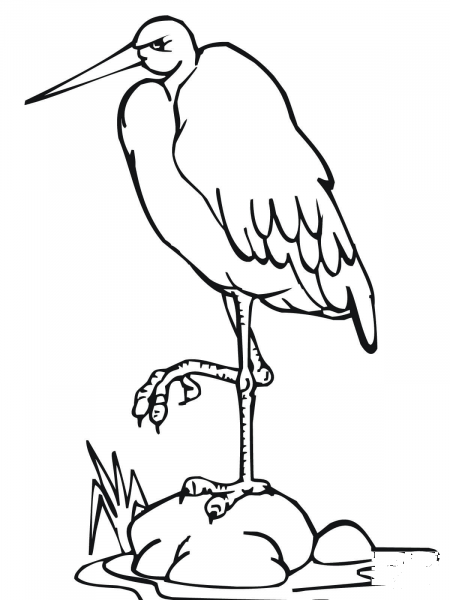 Stork Standing on One Leg coloring page image