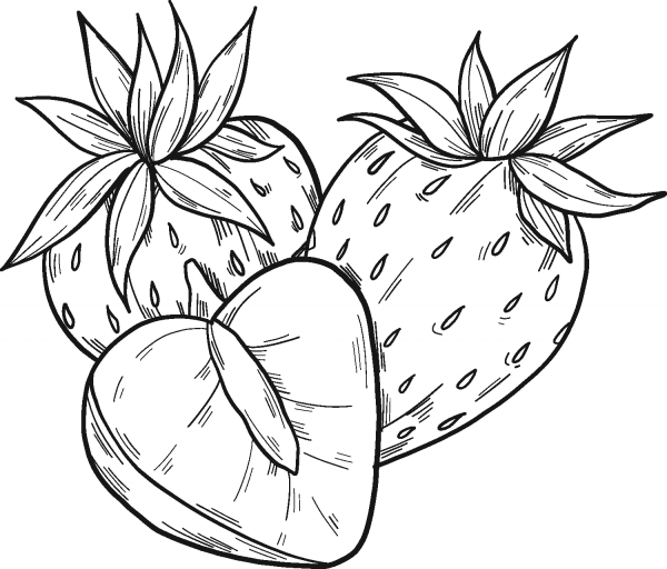 Strawberries coloring page image