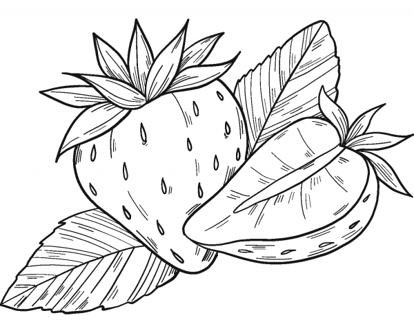 Strawberries coloring page image
