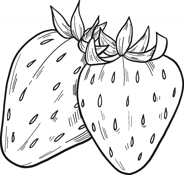 Strawberries coloring page image