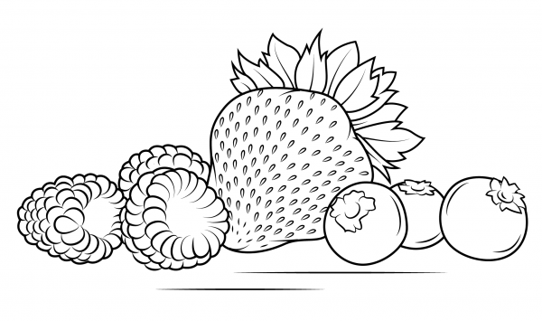 Strawberries, Raspberries and Blueberries coloring page image