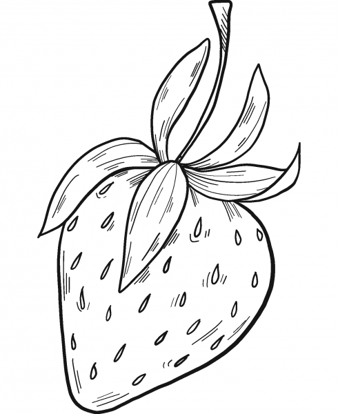 Strawberry coloring page image