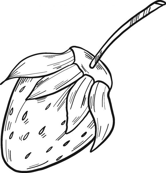 Strawberry coloring page image