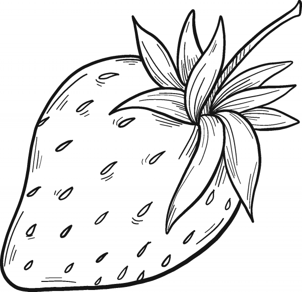 Strawberry coloring page image