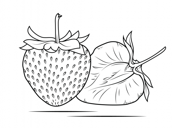 Strawberry coloring page image