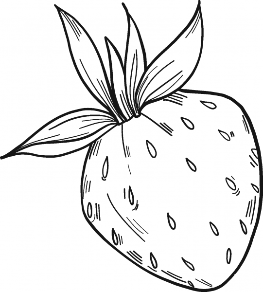 Strawberry coloring page image