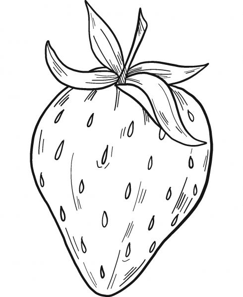 Strawberry coloring page image