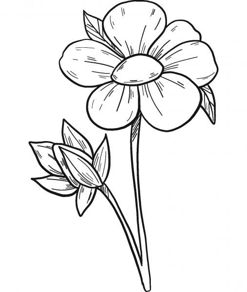 Strawberry Flower coloring page image