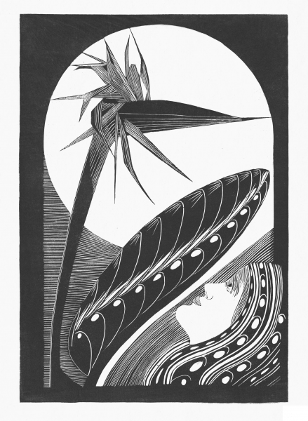 Strelitzia Overblown coloring page image