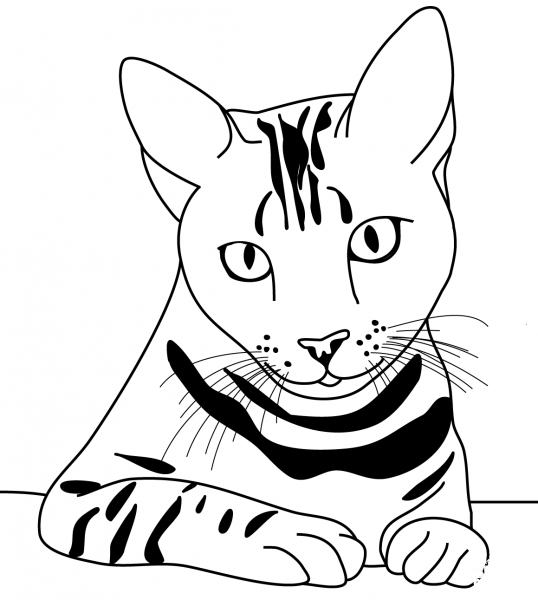 Striped Cat coloring page image