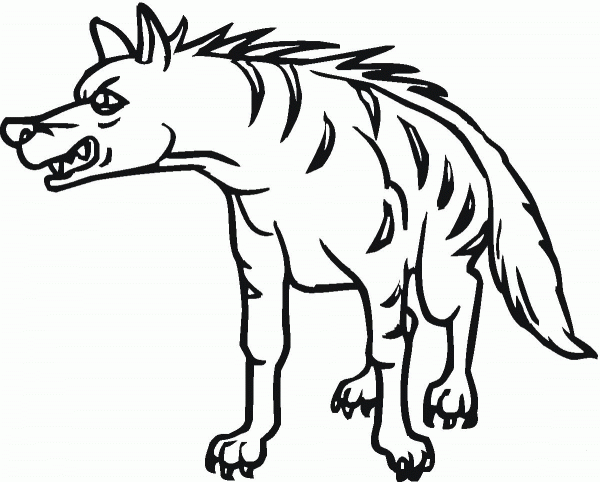Striped Hyena 11 coloring page image