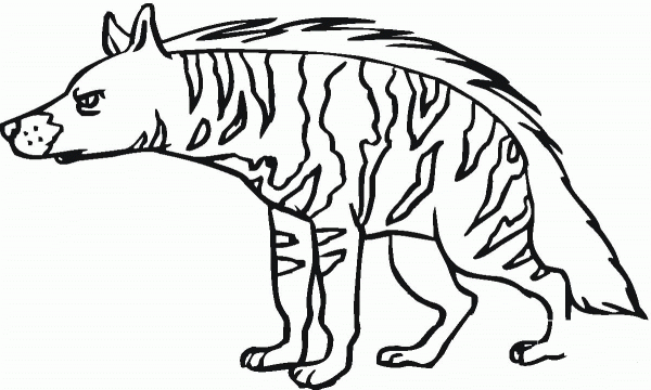 Striped Hyena 12 coloring page image