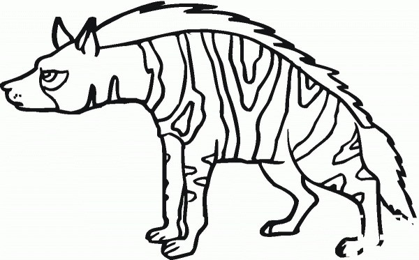 Striped Hyena 6 coloring page image