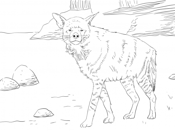 Striped Hyena coloring page image