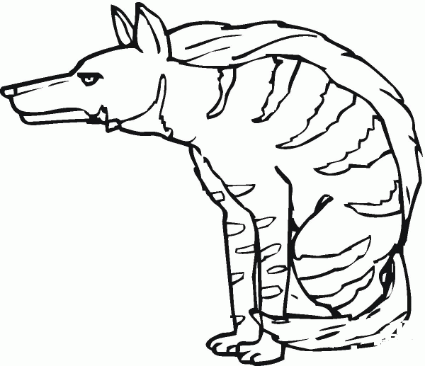 Striped Hyena coloring page image