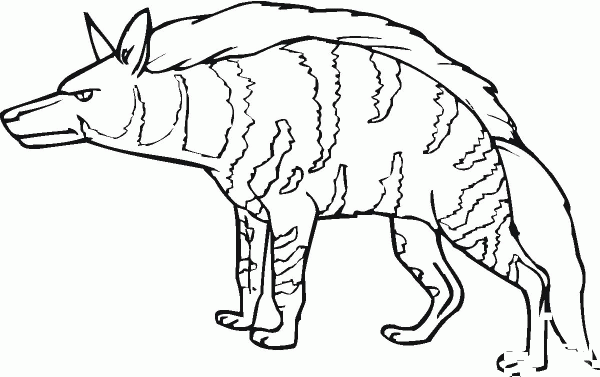 Striped Hyena coloring page image