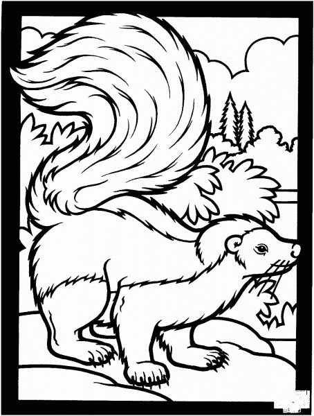Striped Skunk coloring page image