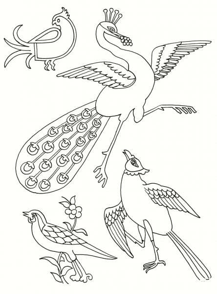 Stylised Birds coloring page image