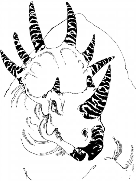 Styracosaurus Head coloring page image