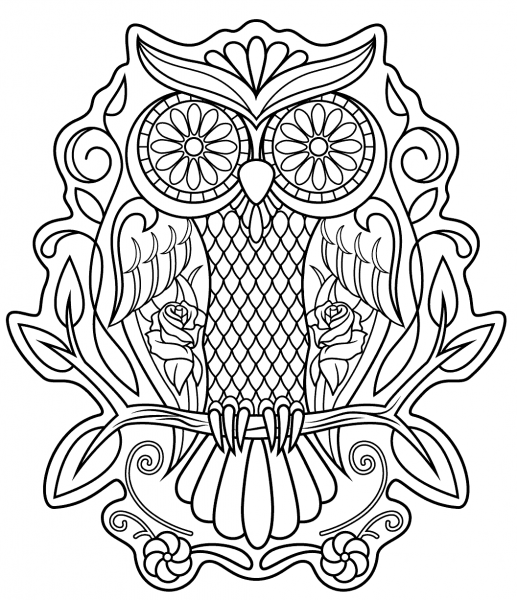 Sugar Skull Owl coloring page image