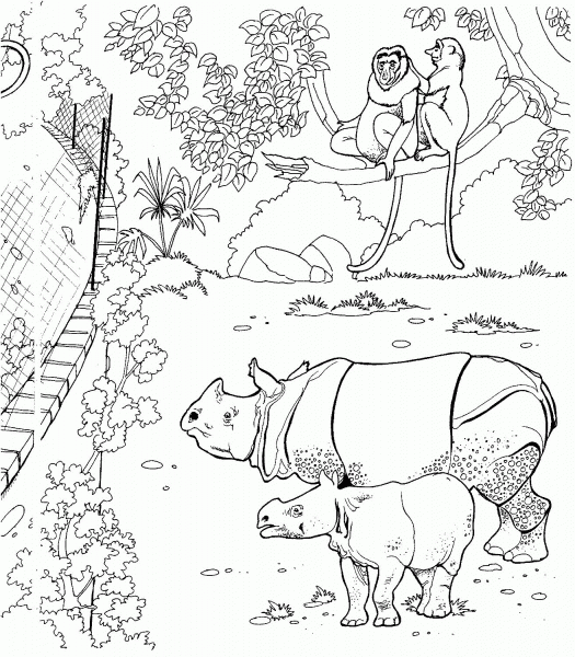 Sumatran Rhinos and Proboscis Monkeys in a Zoo coloring page image