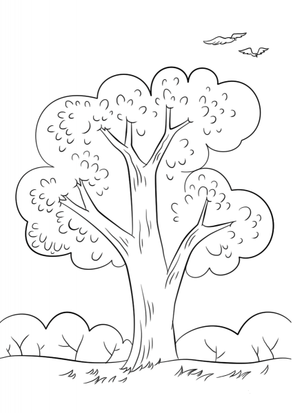 Summer Tree coloring page image