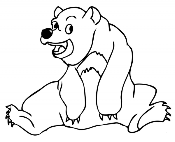 Sun Bear coloring page image