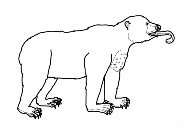 Sun Bear Possesses a Very Long Tongue coloring page image