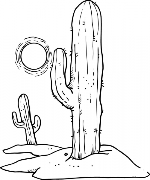 Sun over Desert Cactuses coloring page image