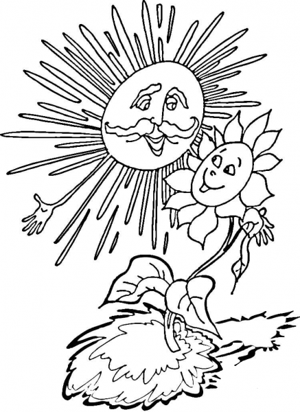 Sunflower and Sun  coloring page image