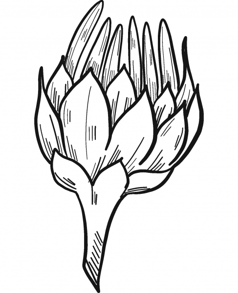 Sunflower Bud coloring page image