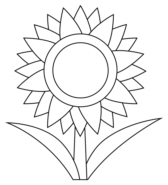 Sunflower coloring page image