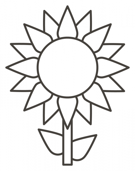 Sunflower coloring page image