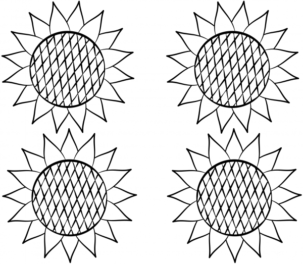 Sunflower coloring page image