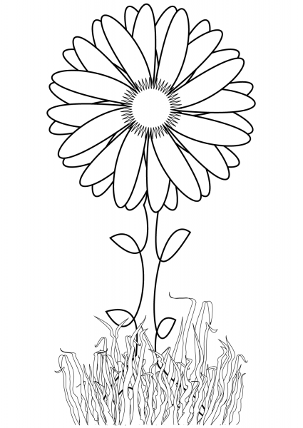 Sunflower coloring page image