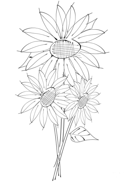 Sunflowers coloring page image