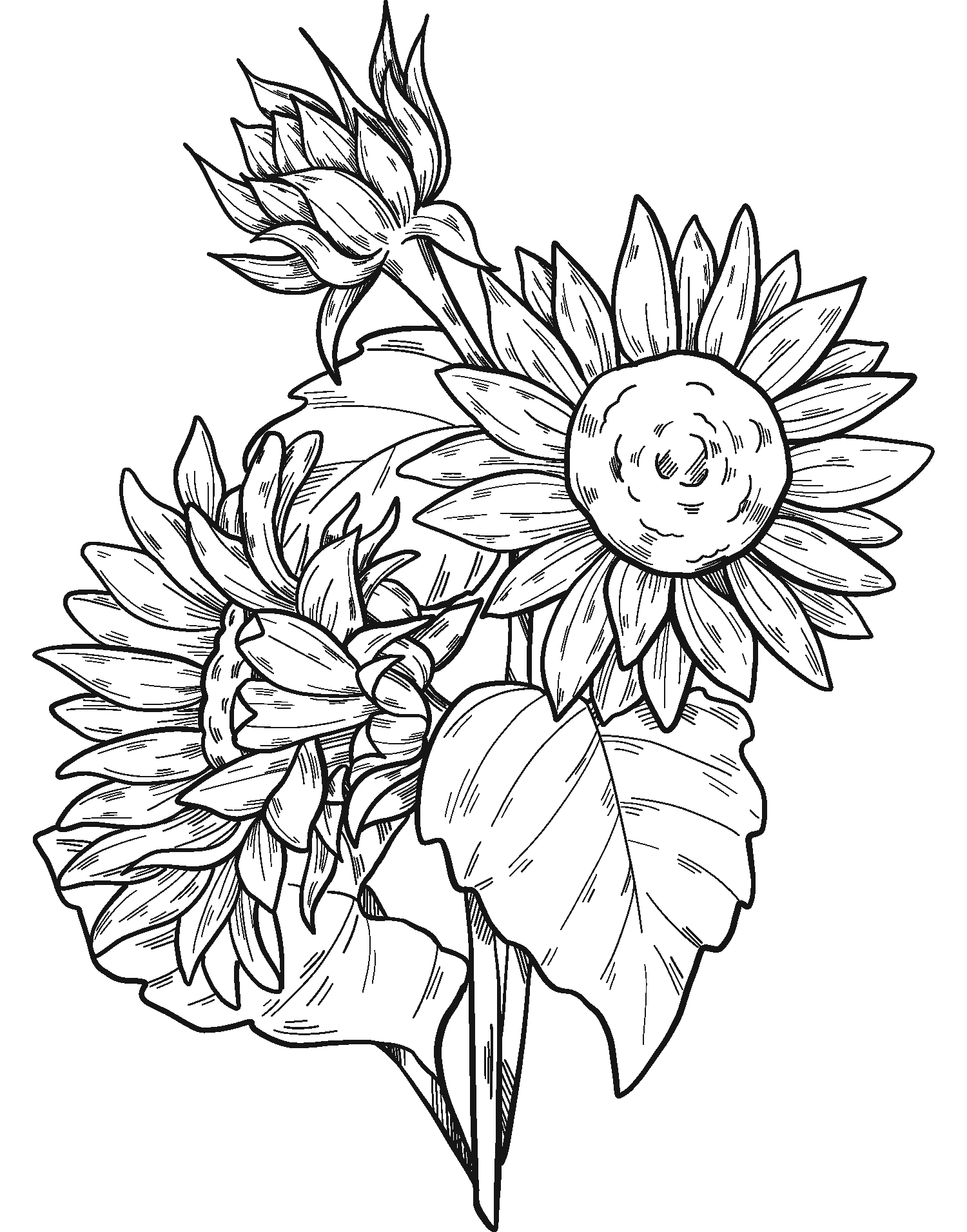 Sunflowers coloring page - ColouringPages