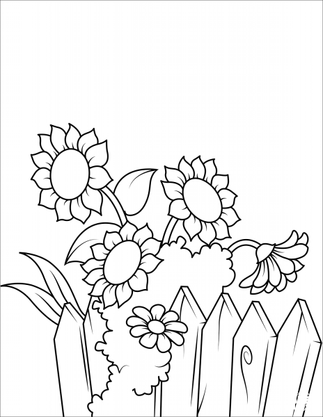 Sunflowers near the Fence coloring page image
