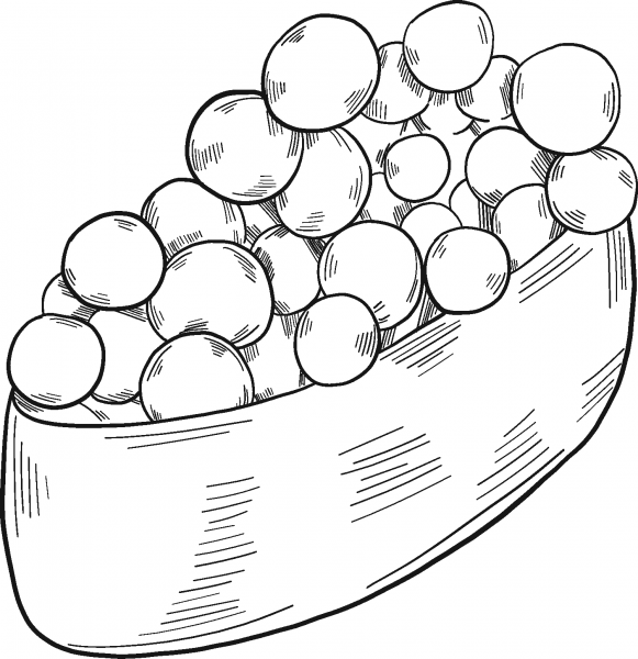 Sushi coloring page image