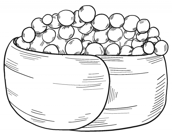 Sushi coloring page image
