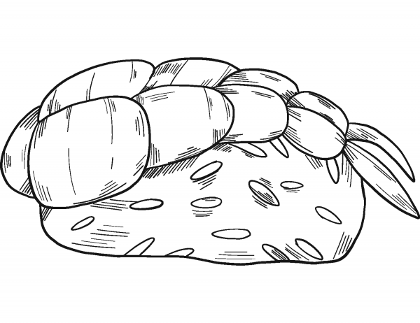 Sushi coloring page image