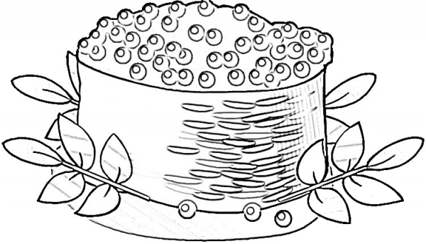 Sushi With Red Caviar  coloring page image