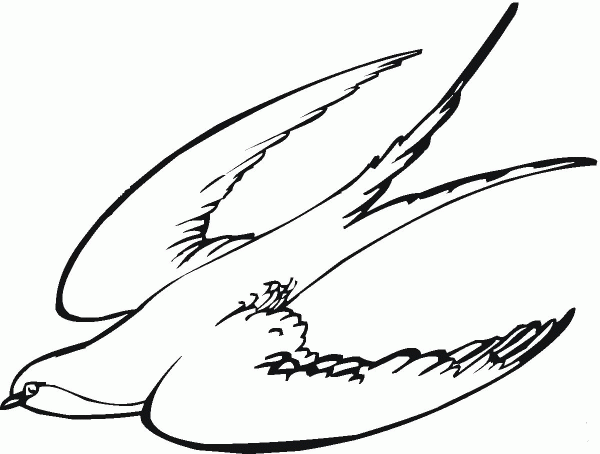 Swallow coloring page image