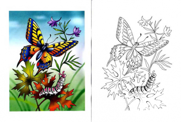 Swallowtail Butterfly and Caterpillar coloring page image