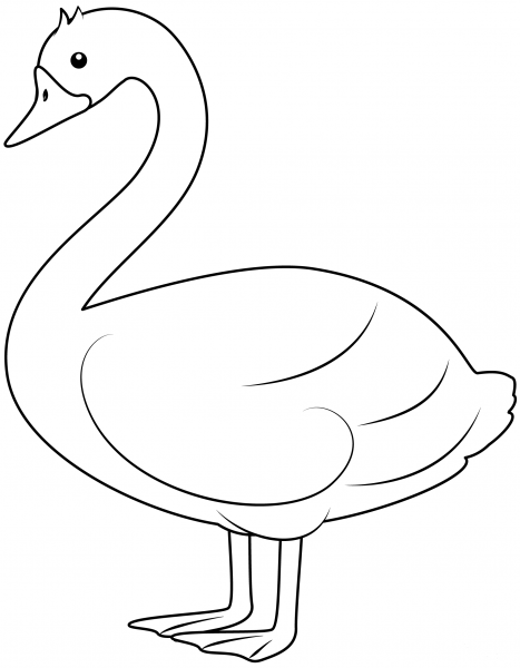Swan coloring page image
