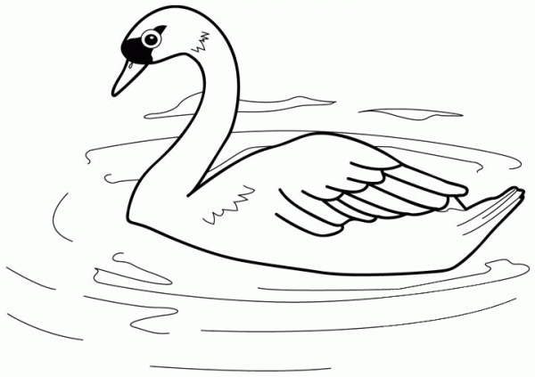Swan coloring page image