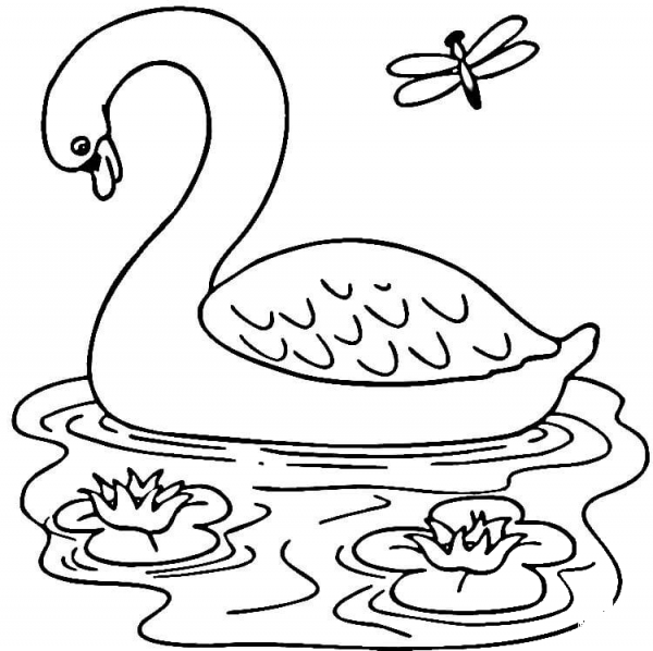 Swan in the Lake  coloring page image